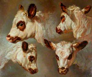 Four Studies of Heads of Cattle