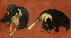 Two Studies of a Dog