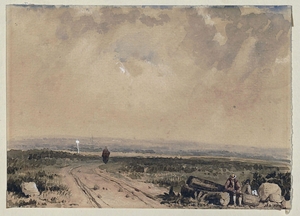 A heath traversed by a winding road