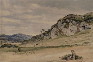 Hilly landscape with rocks in the foreground