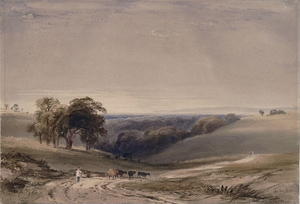 Ecclesbourne Glen