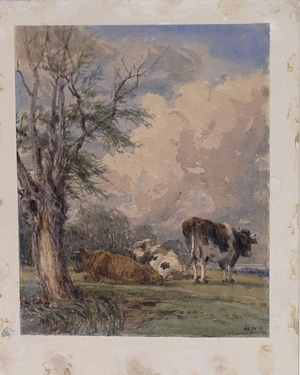 A Study of Cattle
