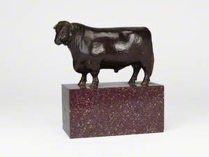 Shorthorn Bull (Bridgebank Paymaster)