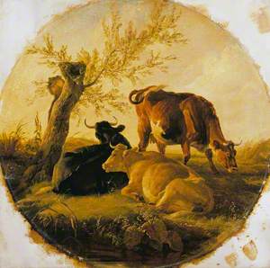 An Evening Scene