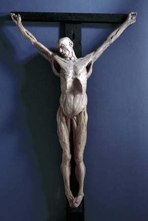 Anatomical Crucifixion (James Legg)
