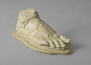 Male Right Foot Wearing a Sandal