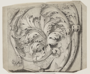 Drawing of Carved Acanthus Leaf Ornament