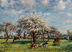An Orchard in Spring