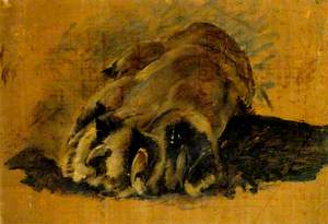 Oil Sketch of a Lion's Paw
