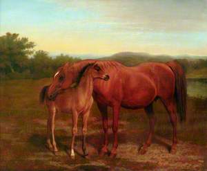 Mare, Chestnut, with Foal
