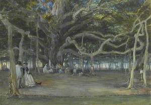 Great Banyan Tree, Calcutta