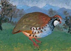 French Partridge