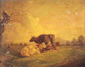 Cattle Resting in a Meadow
