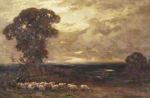 Flock of Sheep, a Heavy Sky