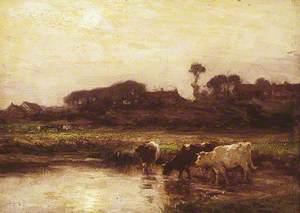 Cattle by a River