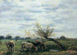 Landscape and Cattle