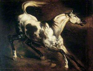 A Frightened Horse