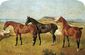 Three Horses: 'Whissendine', 'Swallow' and 'Tiptop'