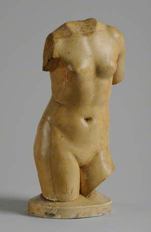 Museum Cast of a Female Torso