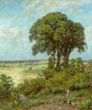 Landscape in Sussex