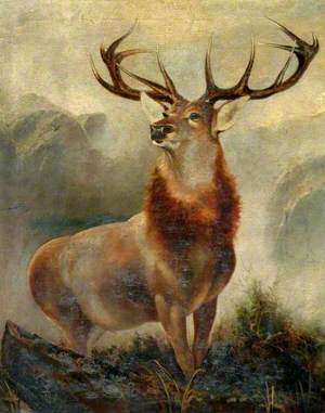 Stag at Bay (Monarch of the Glen)