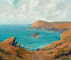 Kestrel over the Cornish Coast