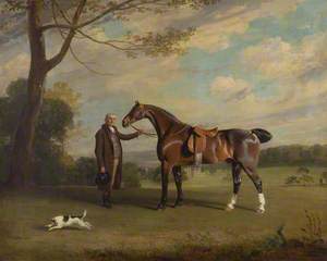 The Earl of Shrewsbury's Groom Holding a Hunter