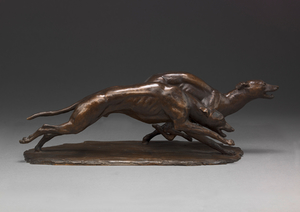Racing Greyhounds