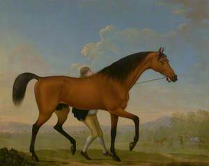 The Duke of Ancaster's Bay Stallion, Blank, Walking towards a Mare