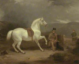 Grey Shooting Pony, Probably the Property of Johnston King, with a Groom