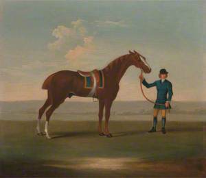 One of Four Portraits of Horses – a Chestnut Horse (Old Partner?), Held by a Groom: Standing Facing Right, Wearing Blue Saddle-Cloth Edged with Gold