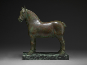 Percheron Stallion: 'Rhum'