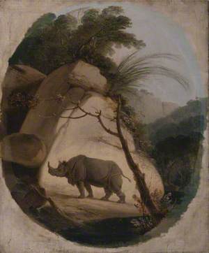 The Indian Rhinoceros