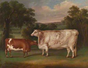 Prize Cattle in a Landscape