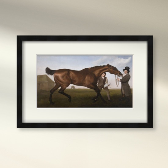 Framed print of 'Hambletonian, Rubbing Down' by George Stubbs (1724–1806)