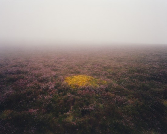 from the 'Crucible' series, 2020, photograph by Nicholas J. R. White