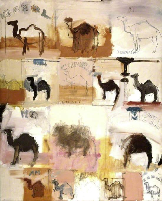 Camels