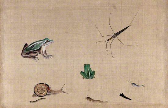 Seven Animals from Japan, including Two Frogs, a Snail, a Slug, a Water Bug and a Silver Fish