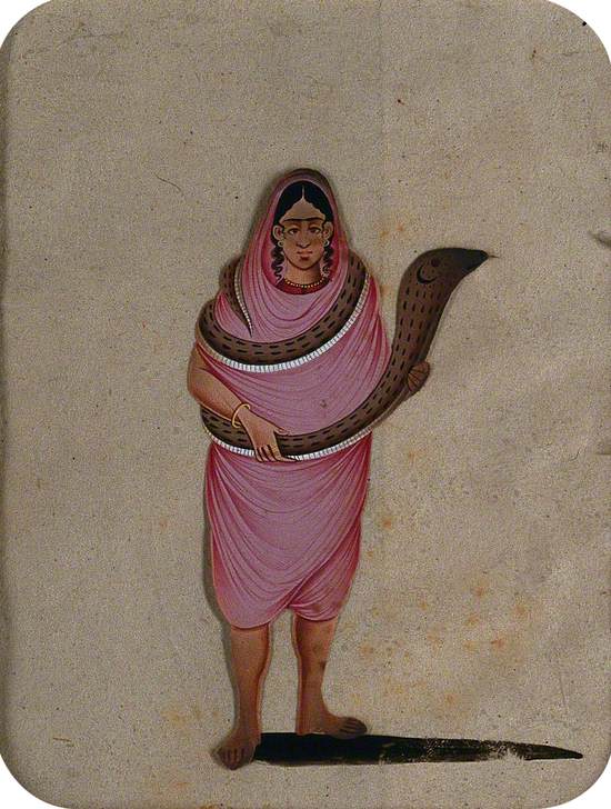 A Woman Wearing a Pink Saree with a Snake Wrapped around Her Body