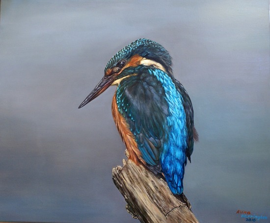 Kingfisher