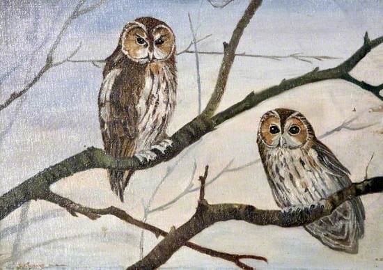 Two Owls