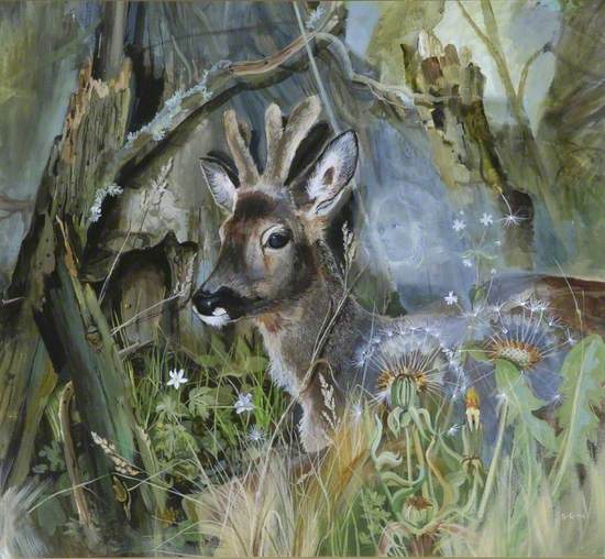 Roe Deer Fawn