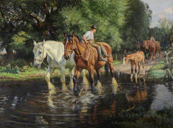 Farm Horses and Foal at a Ford