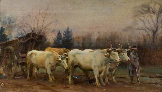White Oxen, Baron Robert's Estate, Chantilly