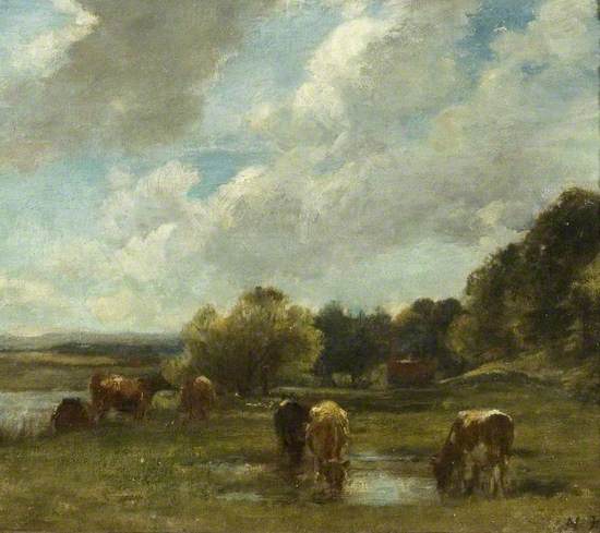 Cattle by the River