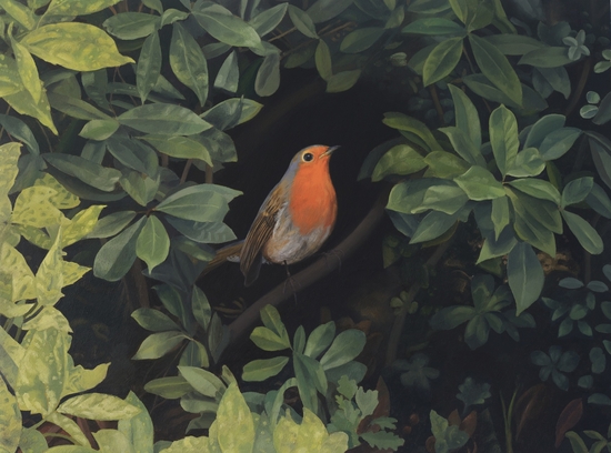 The Robin
