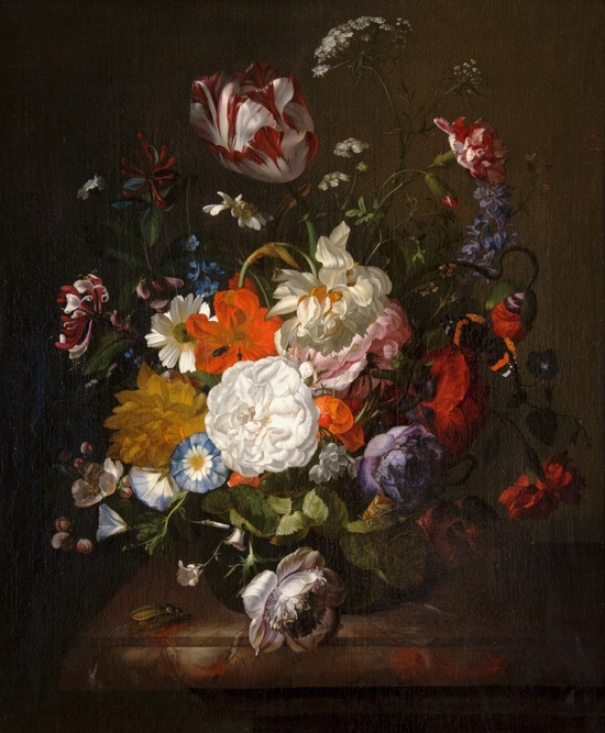 Audio description of 'Still Life, Flowers and Insects' by Rachel Ruysch
