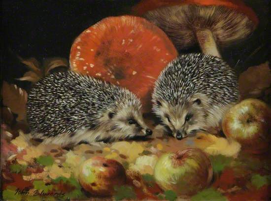 Young Hedgehogs and Toadstools