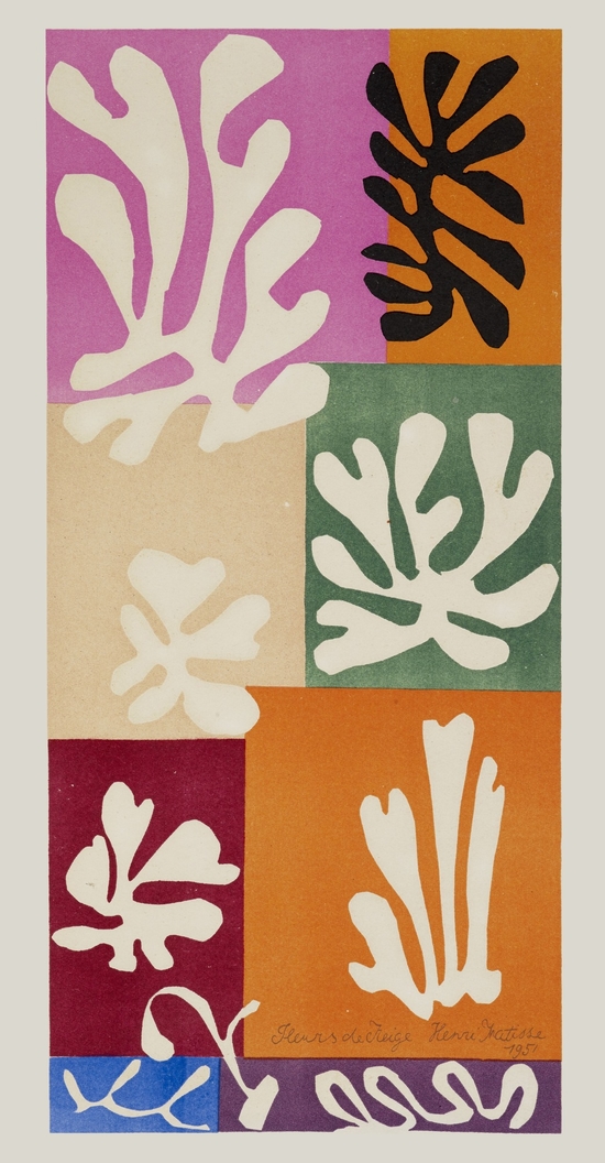 Fleurs De Neige