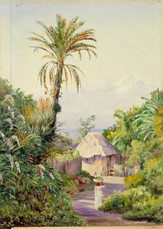 Date Palm and Hut near Craigton, Jamaica